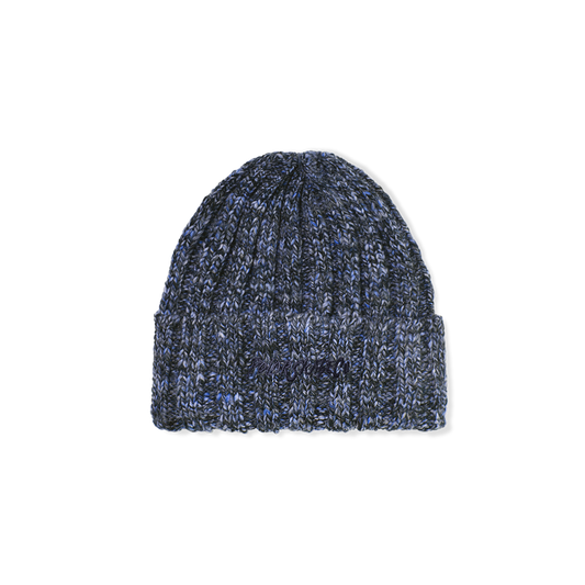 Polar Skate Co. - Ali Beanie - Blue