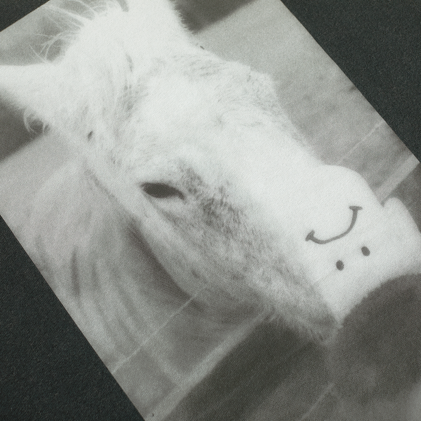 Polar Skate Co. - Horse Hand T-Shirt - Silver/Black
